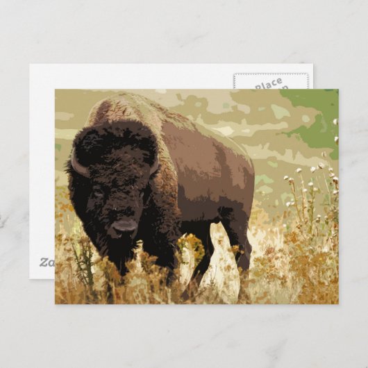 Bison/Buffalo Briefkaart (Voorkant / Achterkant)