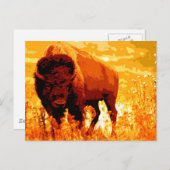 Bison/Buffalo Briefkaart (Voorkant / Achterkant)
