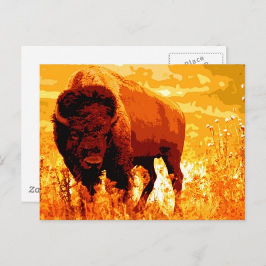 Bison/Buffalo Briefkaart (Voorkant / Achterkant)