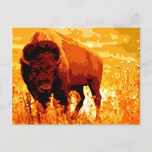 Bison/Buffalo Briefkaart (Voorkant)