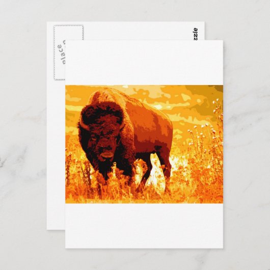 Bison/Buffalo Briefkaart (Voorkant / Achterkant)