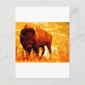 Bison/Buffalo Briefkaart (Voorkant)