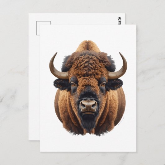 Bison / Buffalo Briefkaart (Voorkant / Achterkant)