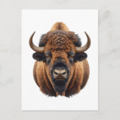 Bison / Buffalo Briefkaart (Voorkant)