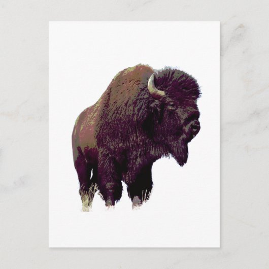 Bison Buffalo  Briefkaart (Voorkant)