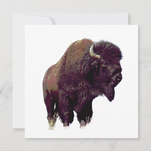 Bison Buffalo Card (Voorkant)