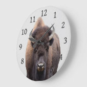 Bison Buffalo Foto 135 Grote Klok (Hoek)