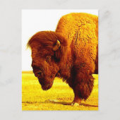 Bison/Buffalo Head Artwork Briefkaart (Voorkant)