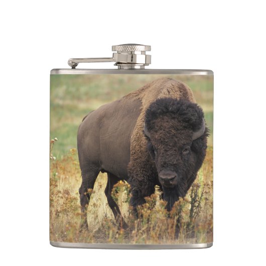 Bison Buffalo Heupfles (Voorkant)