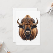Bison / Buffalo Kaart (Voorkant / Achterkant in situ)