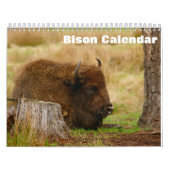 Bison Buffalo Kalender 2025 (Hoes)