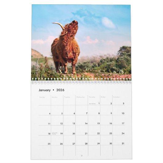 Bison Buffalo Kalender 2025 (Jan 2026)