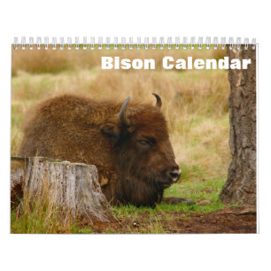 Bison Buffalo Kalender 2025