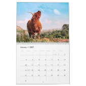 Bison Buffalo Kalender 2025 (Jan 2027)