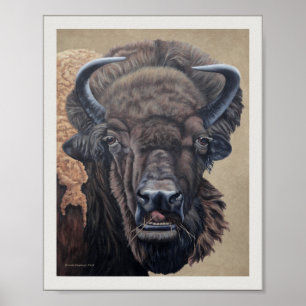 Bison Buffalo Koe eet op Tan Poster