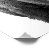 Bison Buffalo Modern Portret zwart wit Poster (Hoek)