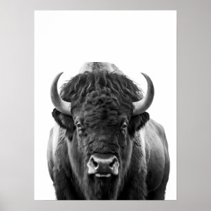 Bison Buffalo Modern Portret zwart wit Poster