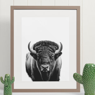 Bison Buffalo Modern Portret zwart wit Poster