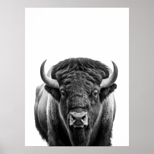 Bison Buffalo Modern Portret zwart wit Poster (Voorkant)