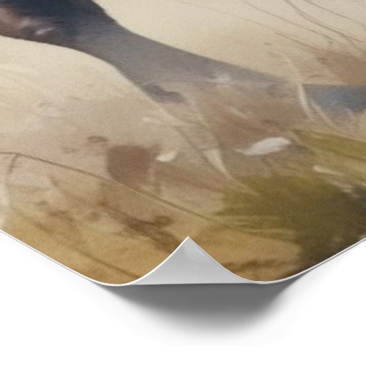 Bison/Buffalo Poster (Hoek)