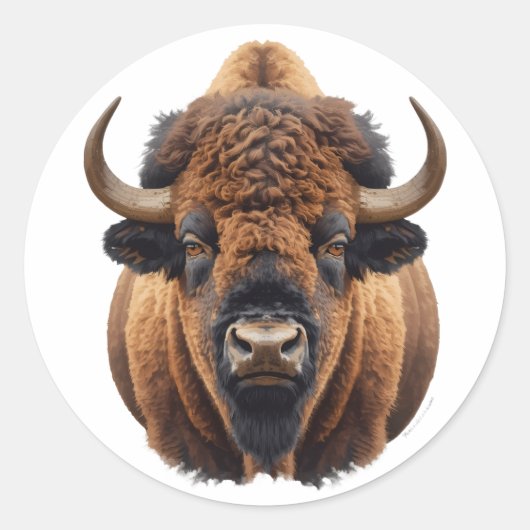Bison / Buffalo Ronde Sticker (Voorkant)