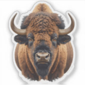 Bison / Buffalo Sticker (Voorkant)