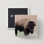 Bison/Buffalo Vierkante Button 5,1 Cm (Voorkant /achterkant)