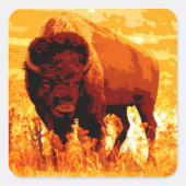 Bison / Buffalo Vierkante Sticker (Voorkant)