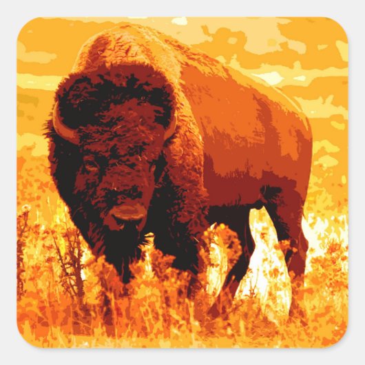 Bison / Buffalo Vierkante Sticker (Voorkant)