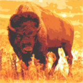 Bison / Buffalo Vierkante Sticker (Voorkant)