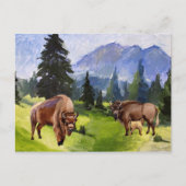 Bison Buffalo Waterverf landschap Feestdagenkaart (Voorkant)