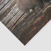 Bison Buffalo Wood Achtergrond Tissuepapier (Detail)