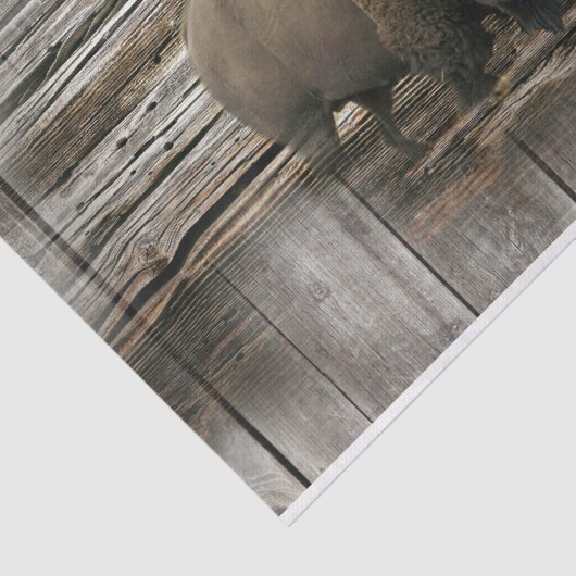 Bison Buffalo Wood Achtergrond Tissuepapier (Detail)