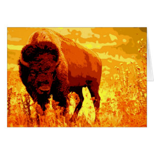 Bison/buffelkaarten