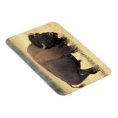 Bison Bull beroemd gemaakt door Yellowstone Nation Magneet (Rechterzijde)