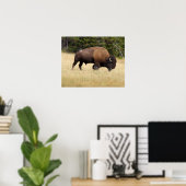 Bison Bull in Yellowstone National Park Poster (Thuiskantoor)