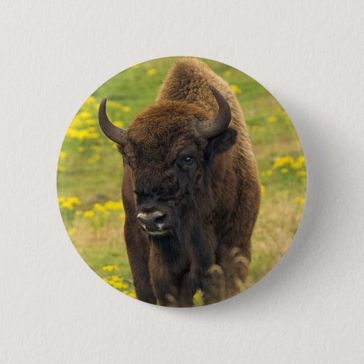 Bison Button Badge (Voorkant)