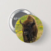 Bison Button Badge (Voorkant /achterkant)