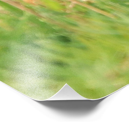 Bison Calf Fotoprint Foto Afdruk (Hoek)