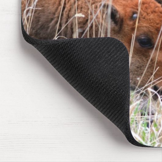 Bison Calves Muismat (Hoek)