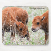 Bison Calves Muismat (Voorkant)