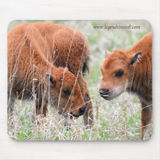 Bison Calves Muismat (Voorkant)