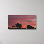Bison Canvas Afdruk (Voorkant)