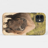 Bison Case-Mate iPhone Case (Achterkant (horizontaal))