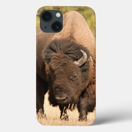 Bison Case-Mate iPhone Case (Achterkant)