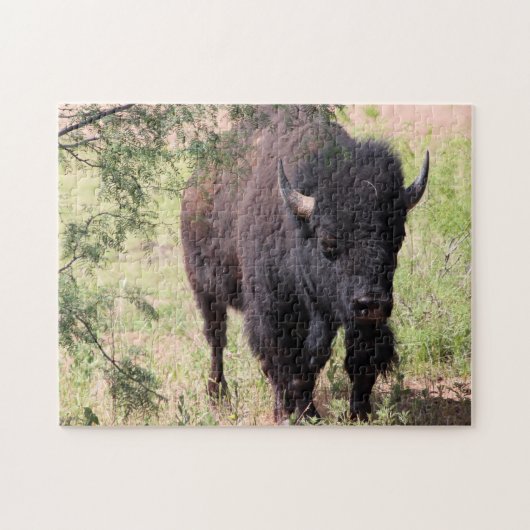 Bison Close Up Legpuzzel (Horizontaal)