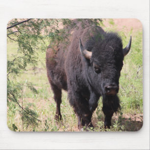 Bison Close Up Muismat
