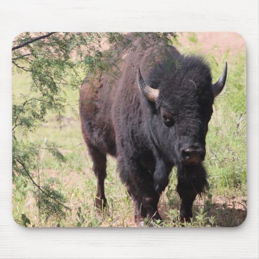 Bison Close Up Muismat (Voorkant)