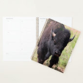 Bison Close Up Planner (Display)