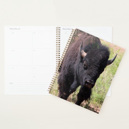 Bison Close Up Planner (Display)